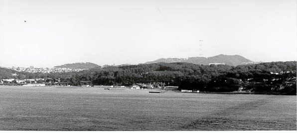 193.jpg, 22237 bytes, 25-08-00