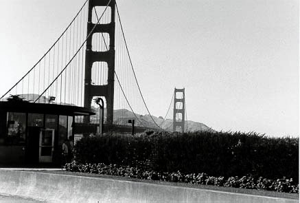 951.jpg, 23630 bytes, 25-08-00