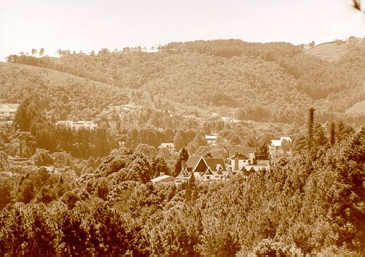 Campos1.JPG, 197190 bytes, 4/25/2001