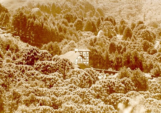 Campos2.JPG, 241709 bytes, 4/25/2001