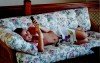 Erica on the sofa.jpg