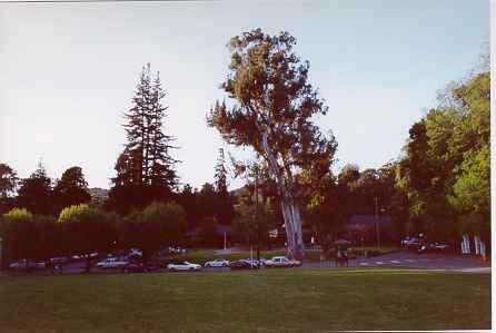 34.jpg, 13154 bytes, 19/06/00